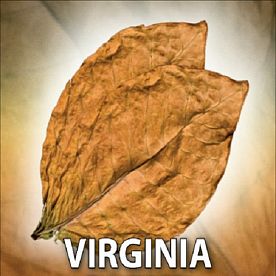 купить Ароматизатор Exotic Табачный VIRGINIA в Москве, Vape, Вейп, Электронные сигареты, Жидкости Ароматизатор Exotic Табачный VIRGINIA купить в Москве, Vape, Вейп, Электронные сигареты, Жидкости