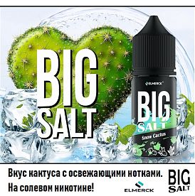 Жидкость Big SALT -  Snow Cactus 30мл.