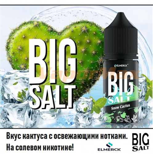 Жидкость Big SALT -  Snow Cactus 30мл.