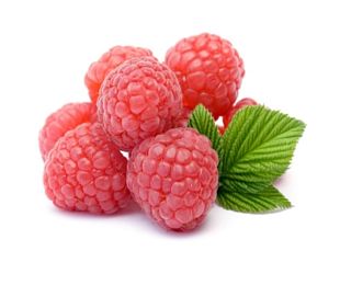 купить Ароматизатор Baker-Flavors Малина в Москве, Vape, Вейп, Электронные сигареты, Жидкости Ароматизатор Baker-Flavors Малина купить в Москве, Vape, Вейп, Электронные сигареты, Жидкости